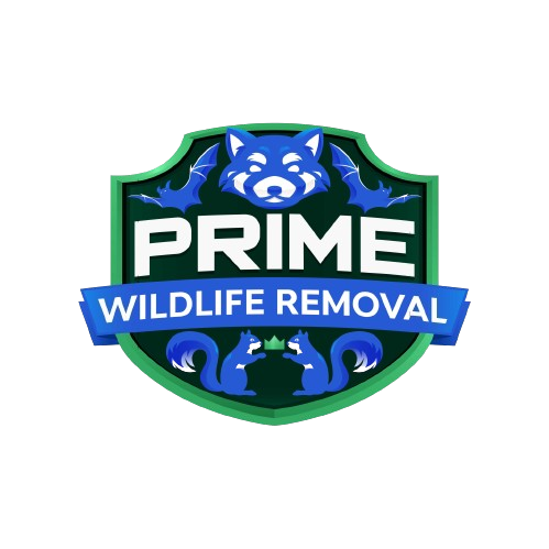 Wildlife Removal Oakfield